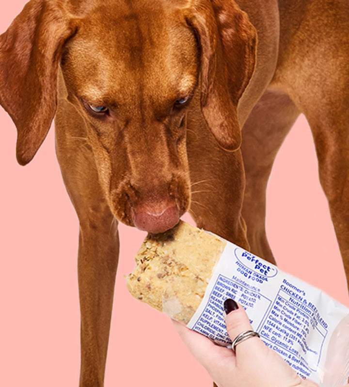 My Perfect Pet Dog Frozen Grain Free Boomer's Chicken & Beef Single 8oz