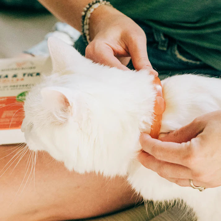Wondercide Flea + Tick Prevention Collar for Cats
