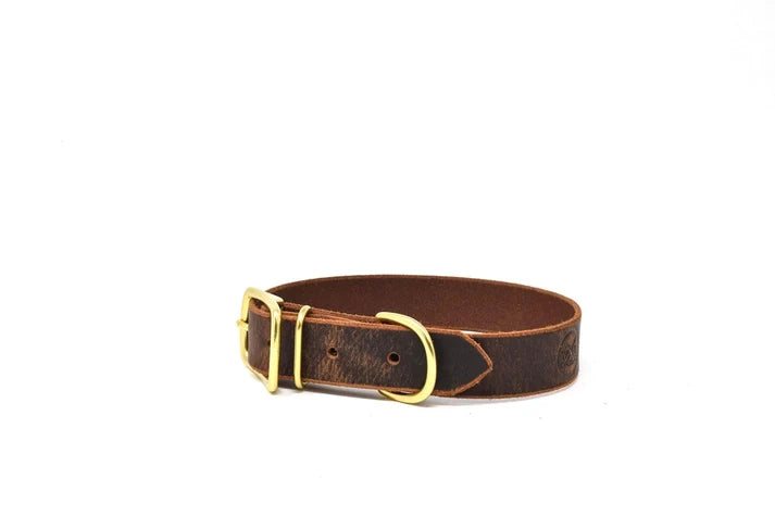 Crazy Horse Buffalo Brown Premium Leather Dog Collar