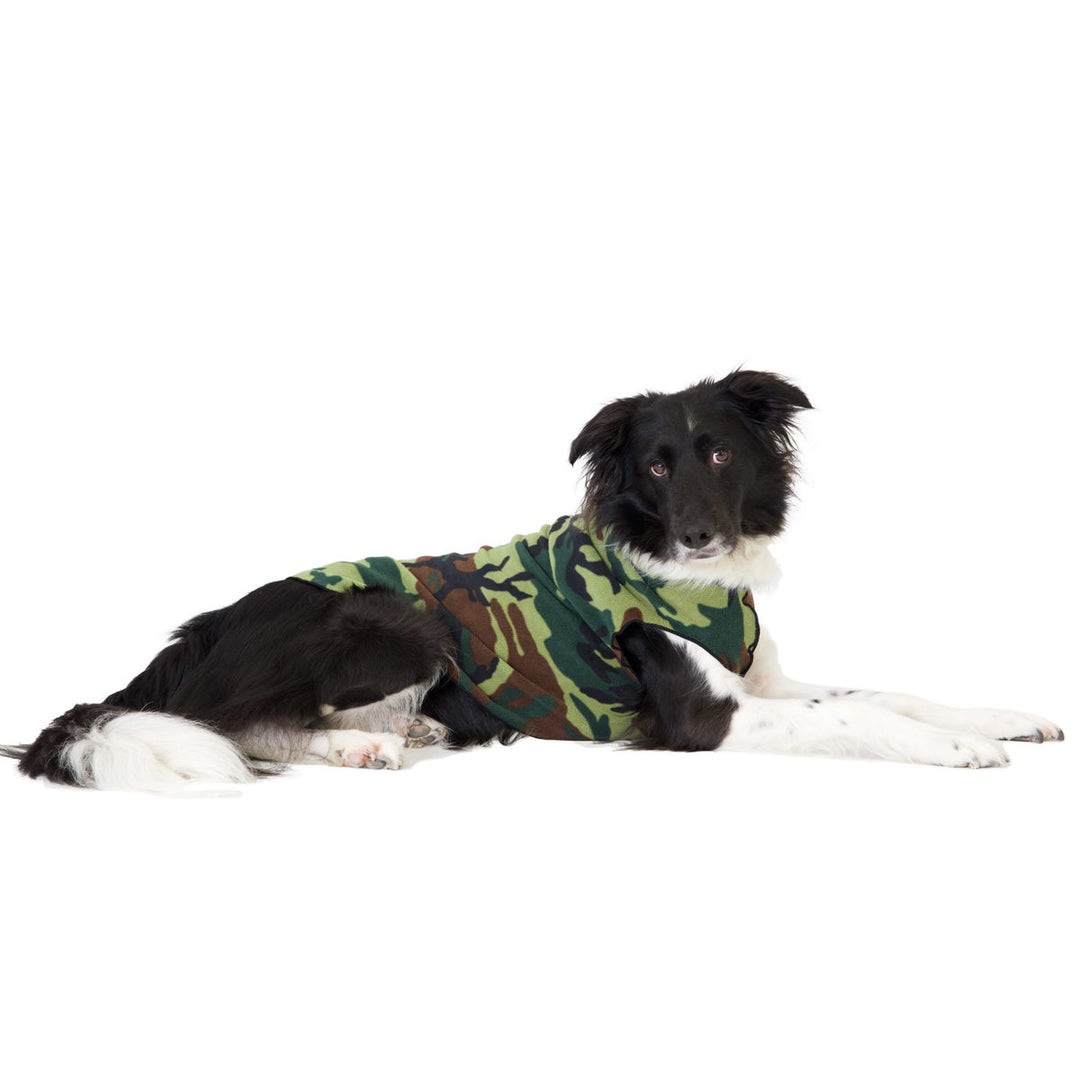Black_and_white_dog_wearing_a_camo_print_fleece_sweater_against_a white_background