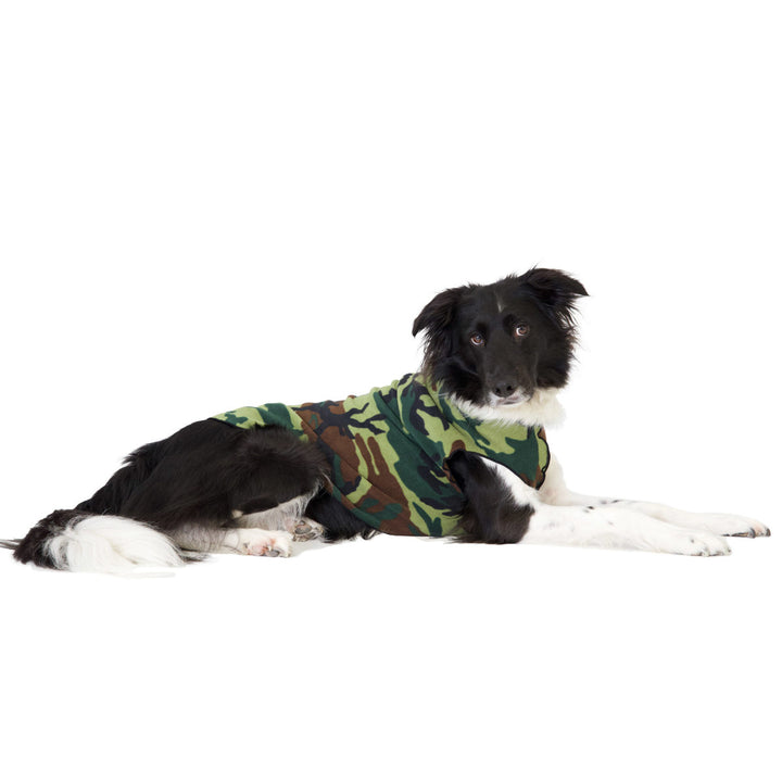 Black_and_white_dog_wearing_a_camo_print_fleece_sweater_against_a white_background
