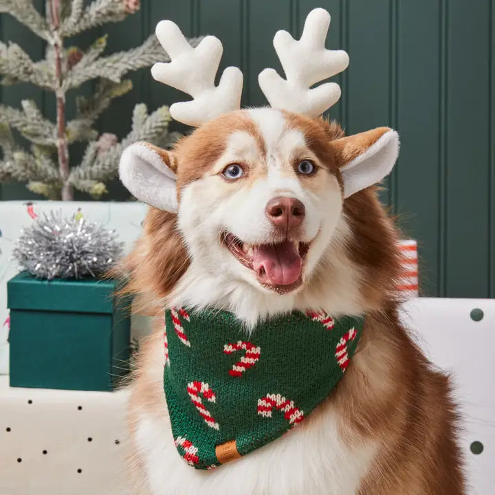 Candy Cane Knit Holiday Bandana for Dogs and Cats