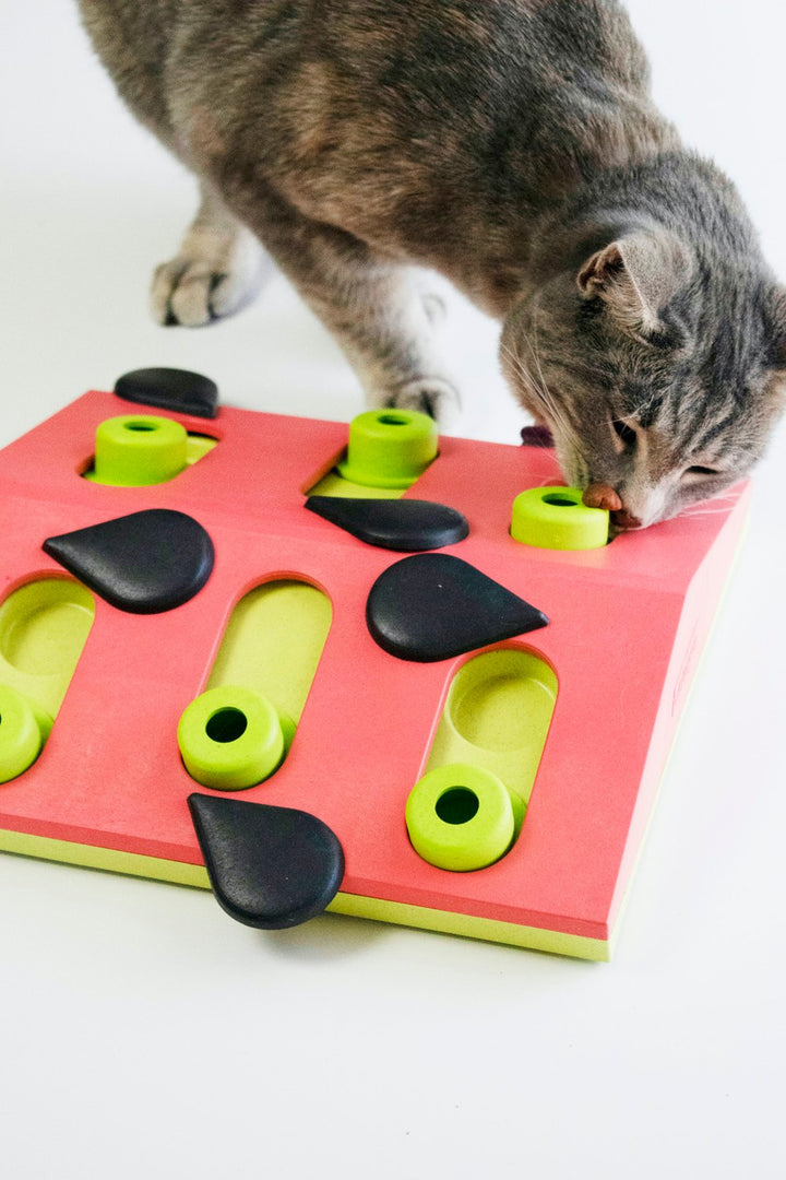 Melon Madness Puzzle & Play Cat Game