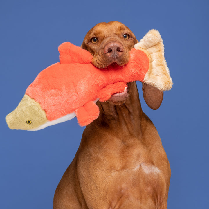 Cedar Salmon Plush Dog Toy