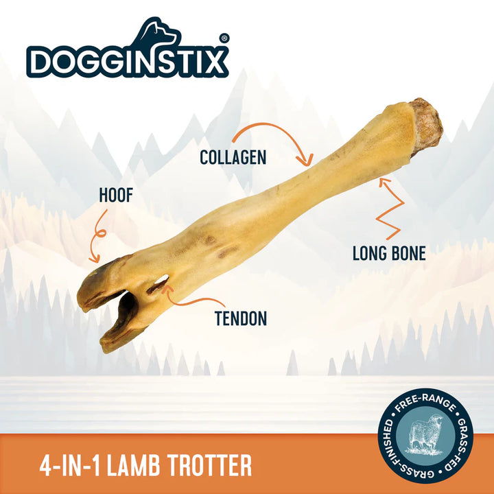 DOGGINSTIX Lamb Foot Treat for Dogs 7-8"