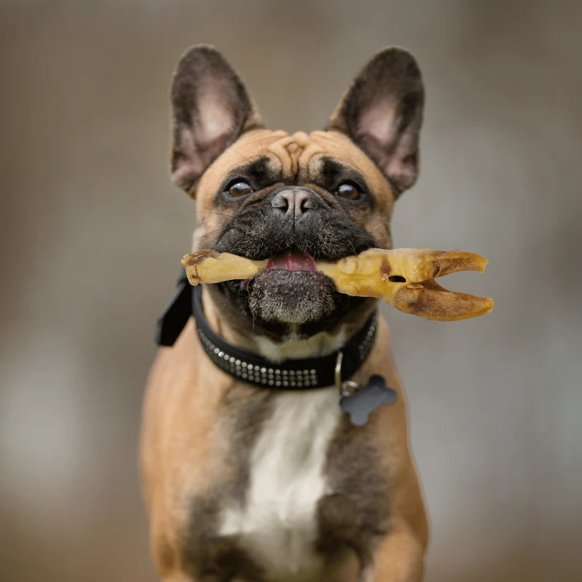 DOGGINSTIX Lamb Foot Treat for Dogs 7-8"