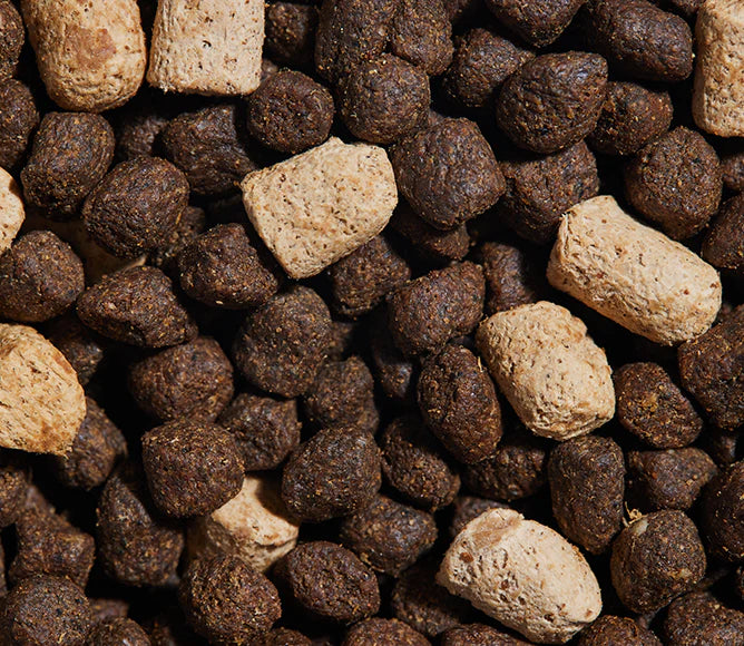 Open Farm Dog RawMix Great Plains Recipe with Ancient Grains Dry Dog Food 20lb