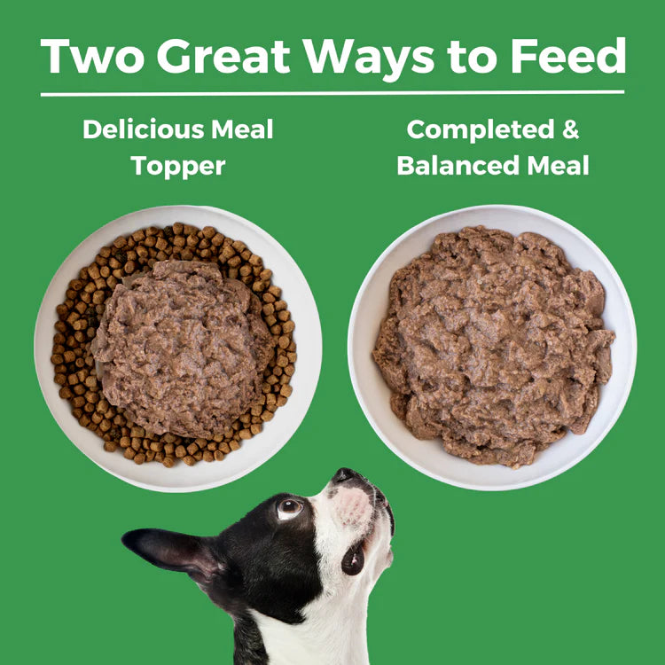 Koha Limited Ingredient Grain Free Turkey Canned Wet Dog Food 13oz cans Case of 12