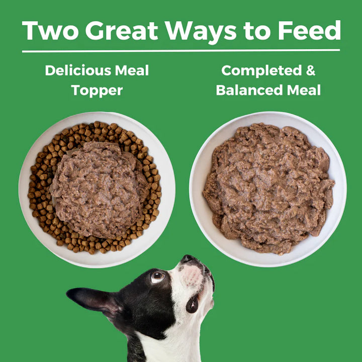 Koha Limited Ingredient Grain Free Turkey Canned Wet Dog Food 13oz cans Case of 12