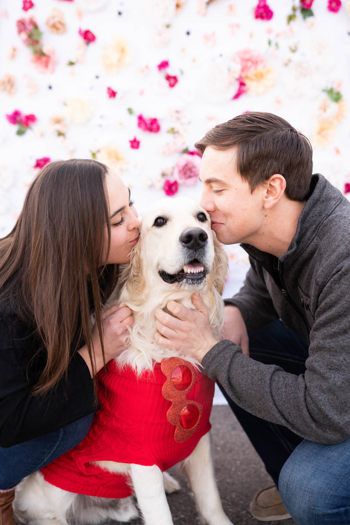 Valentine's Day Pet Photoshoot