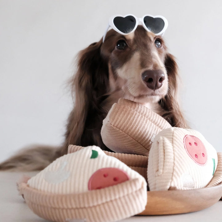 Deep Dish Pizza Enrichment Dog Toy