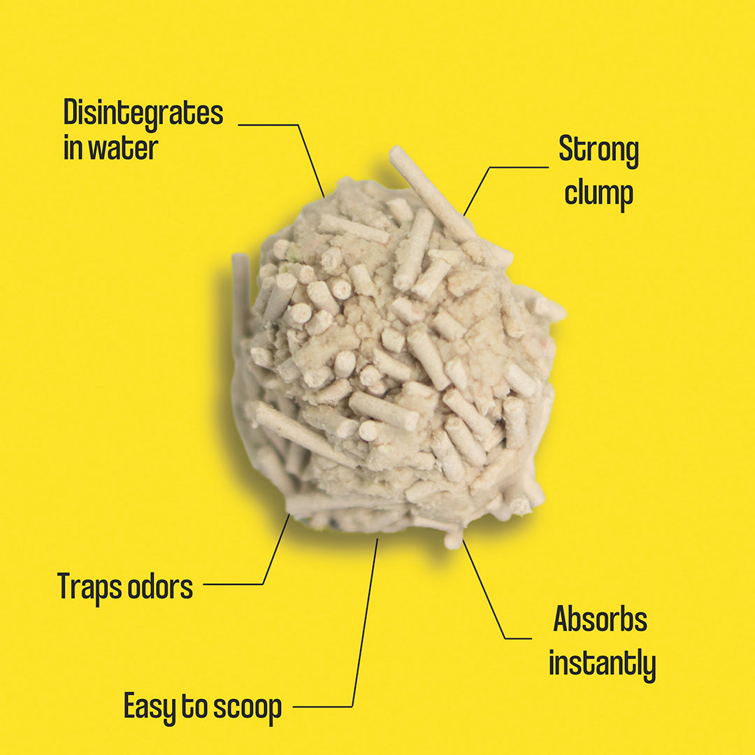Dofu Clumping Tofu Cat Litter 5.5lb – Toiffer Pet Outfitter