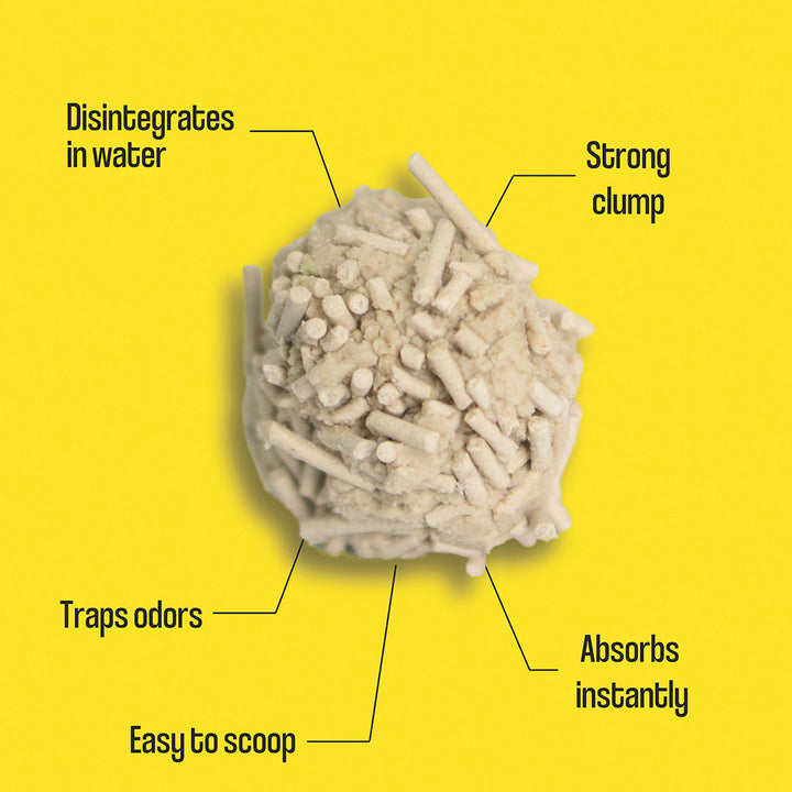Dofu Clumping Tofu Cat Litter 5.5lb