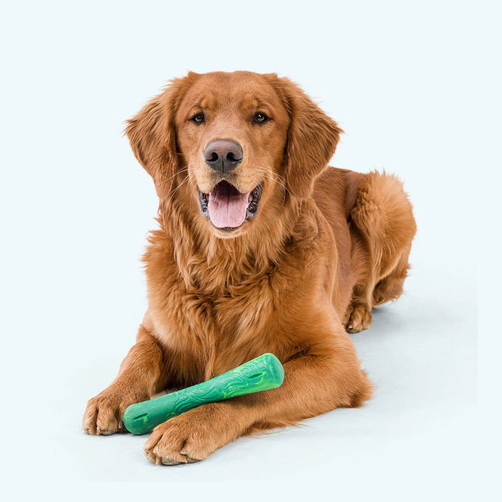 West Paw Drifty Floating Dog Toy Large 8.5"