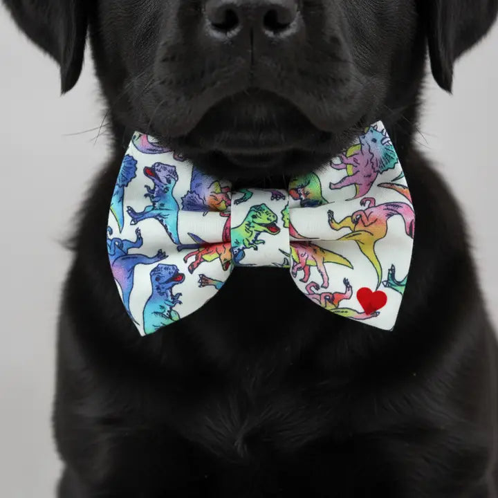 Dubdog Designs Rex Bow Tie Attachment for Collar