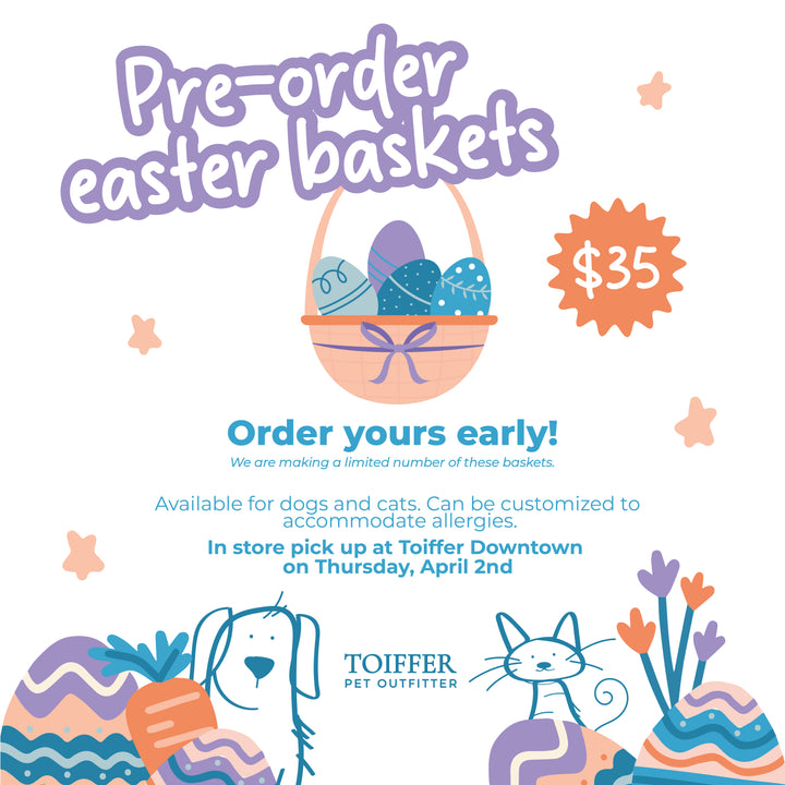 Easter Basket Pre-Order for Dogs or Cats