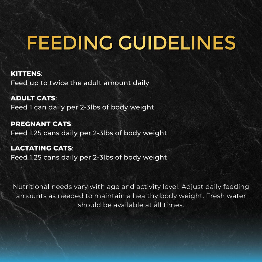 Fussie Cat Premium Tuna with Small Anchovies in Gravy Canned Wet Cat Food 2.82oz - Single Can