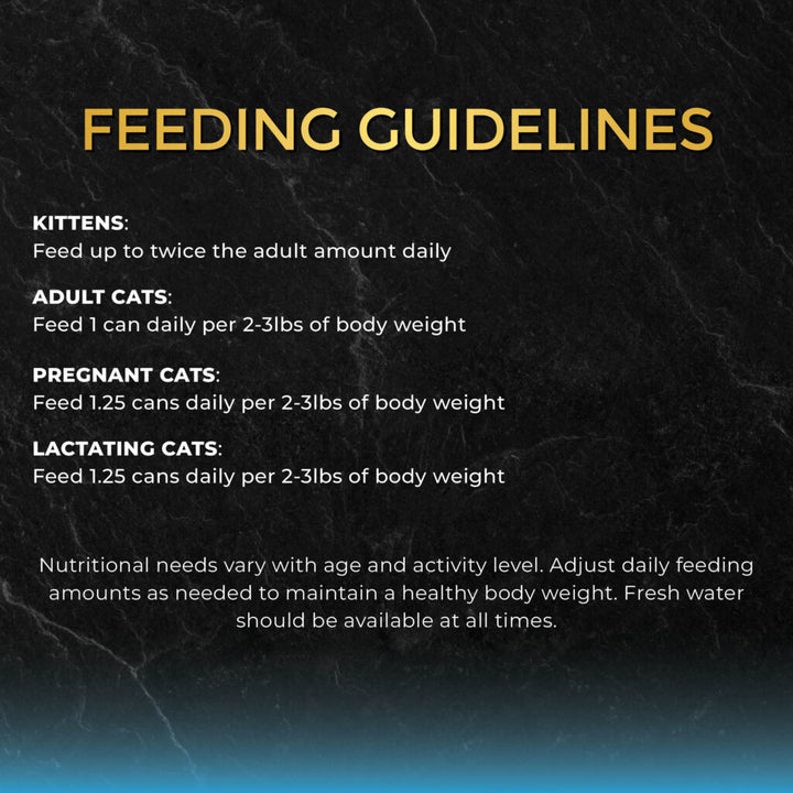 Fussie Cat Premium Tuna with Small Anchovies in Gravy Canned Wet Cat Food 2.82oz - Single Can