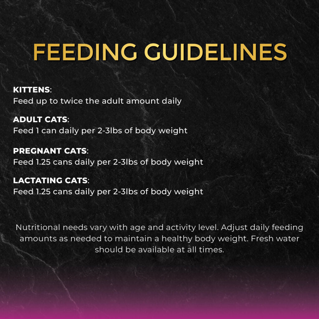 Fussie Cat Premium Tuna with Chicken in Gravy Canned Wet Cat Food 2.82oz - Single Can