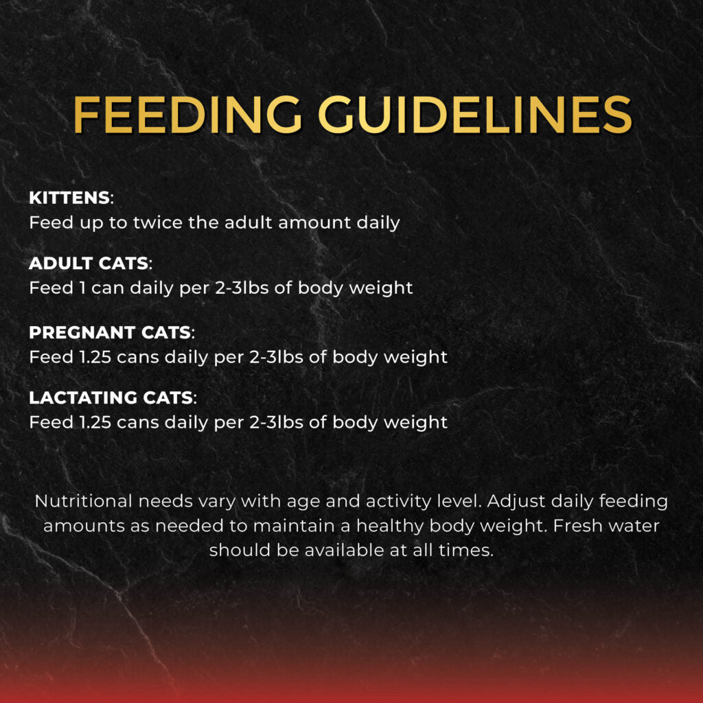 Fussie Cat Premium Tuna with Salmon in Gravy Canned Wet Cat Food 2.82oz - Single Can