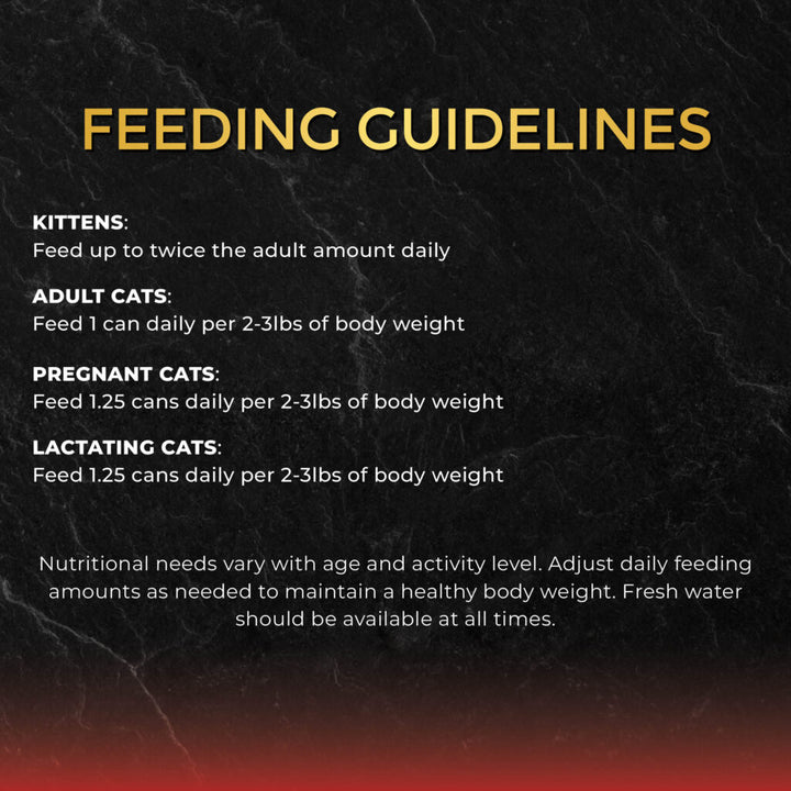 Fussie Cat Premium Tuna with Salmon in Gravy Canned Wet Cat Food 2.82oz - Single Can