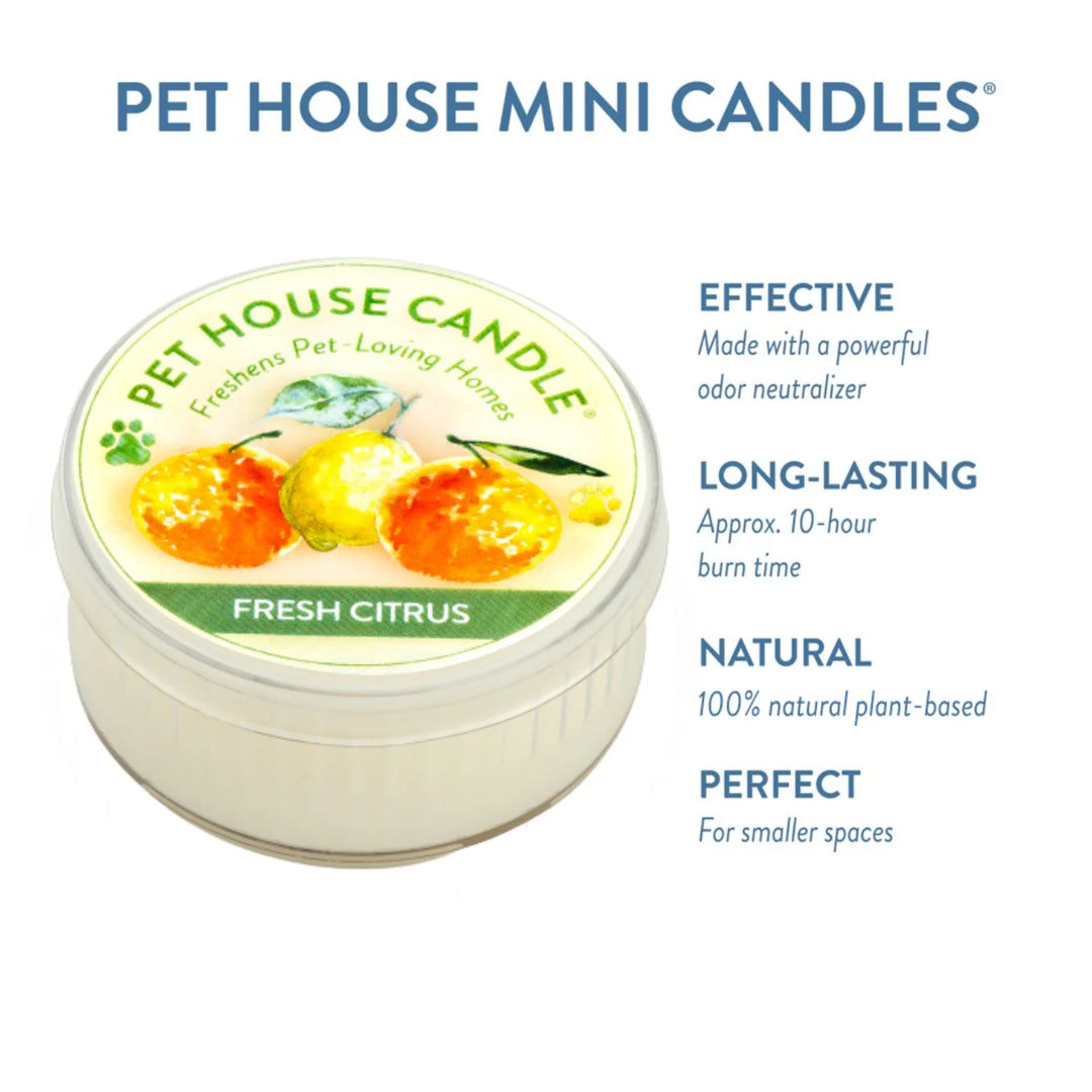 Fresh Citrus Mini Candle 1.5 oz