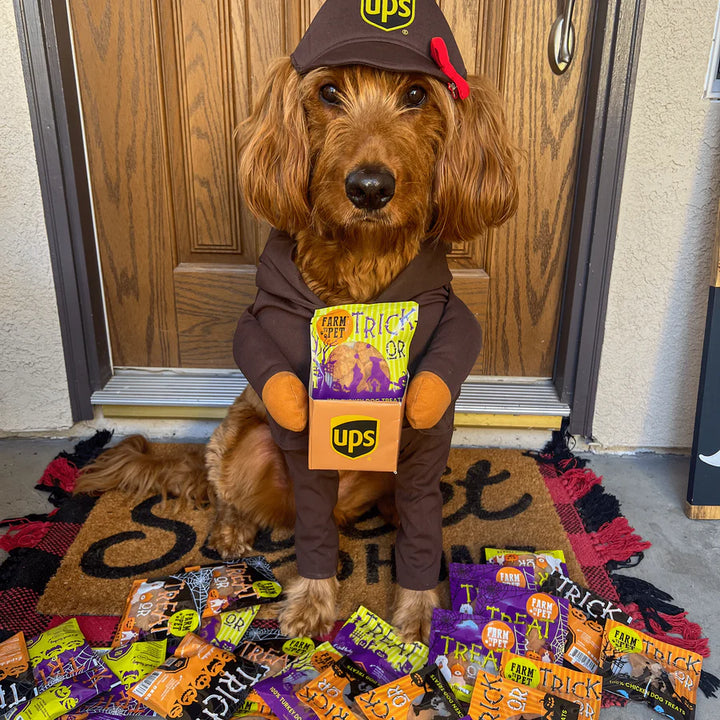 Halloween Chicken Snack Pack Treat for Dogs (6 chips)