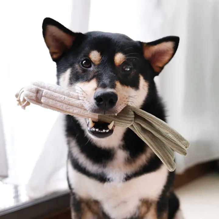 Farmer's Market Enrichment and Snuffle Toy set