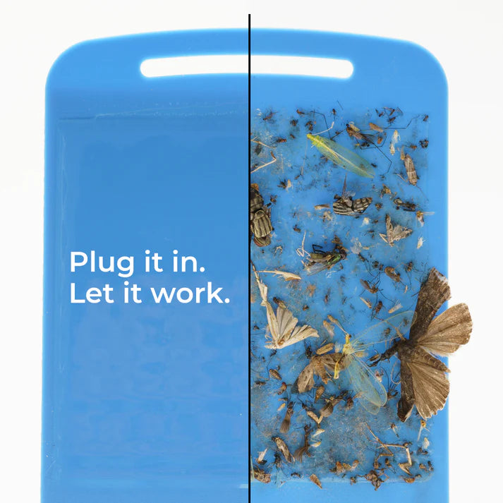 Wondercide Flying Insect Trap Starter Kit