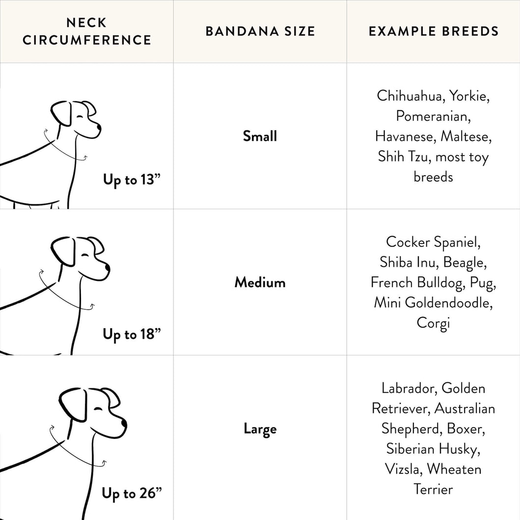 Printfresh & The Foggy Dog Champagne and Caviar Bandana for Dogs and Cats