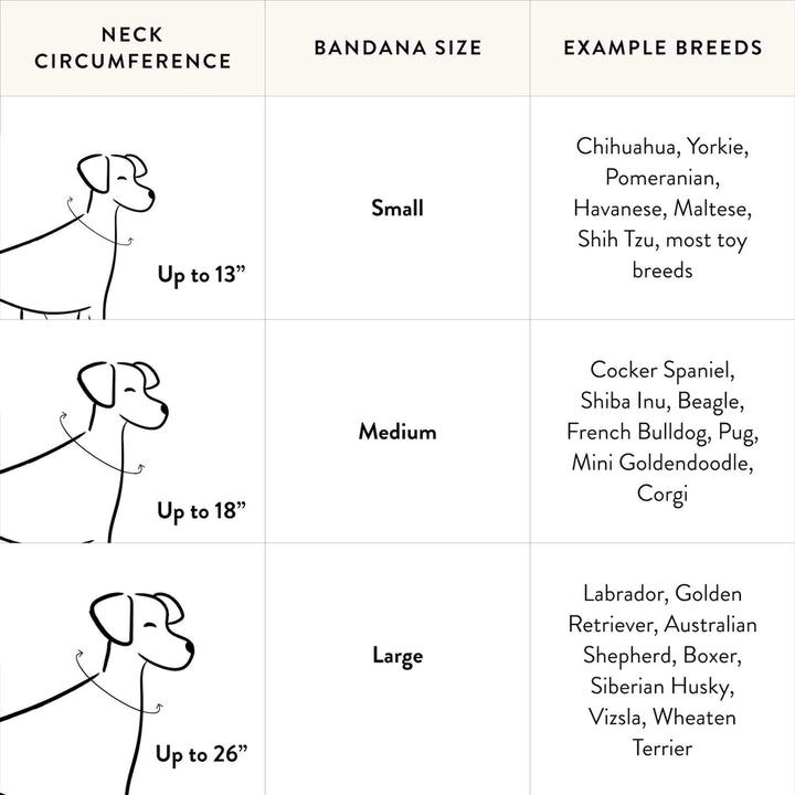 Printfresh & The Foggy Dog Champagne and Caviar Bandana for Dogs and Cats