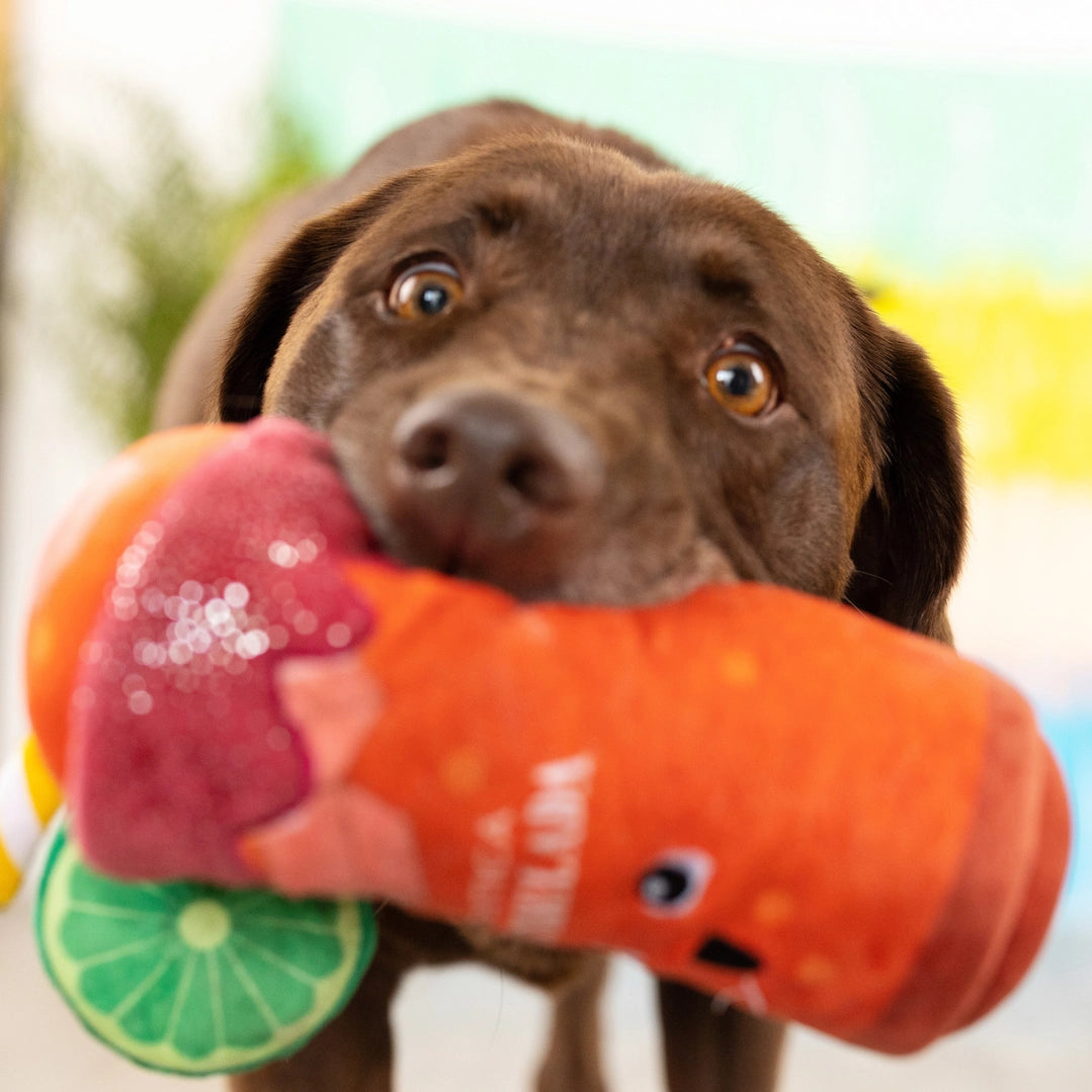 Muttchelada Plush Dog Toy