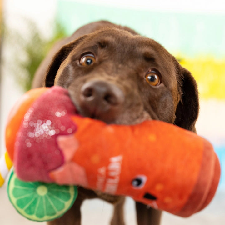 Muttchelada Plush Dog Toy