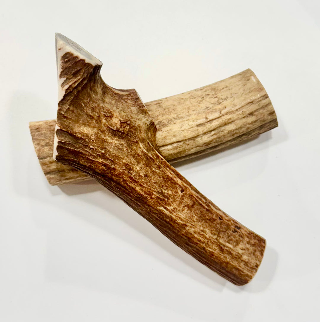 Montana Elk Antler Medium Chew