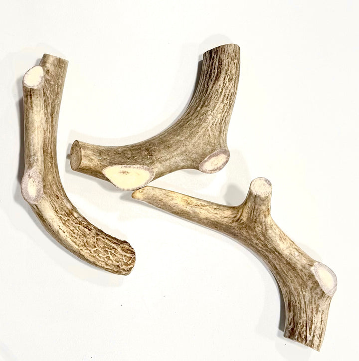 Montana Deer Antler Large Chew