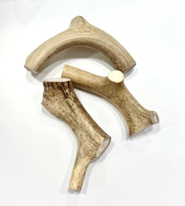 Montana Deer Antler Small Chew