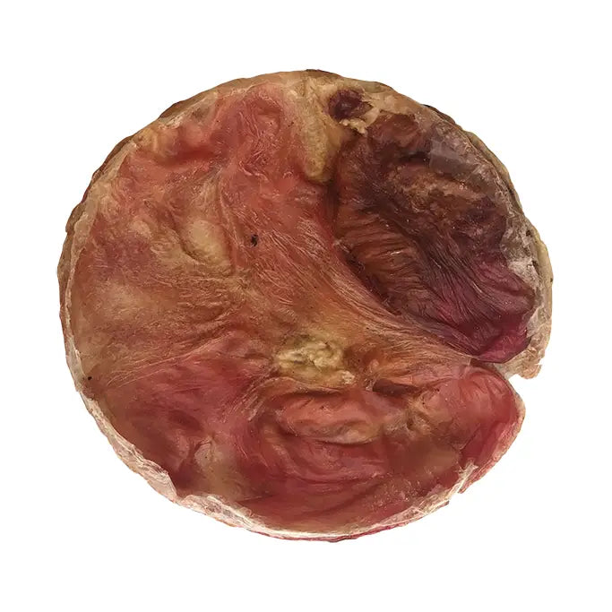 Furs-Bee Beef Bladder