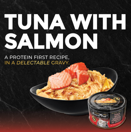 Fussie Cat Premium Tuna with Salmon in Gravy Canned Wet Cat Food 2.82oz