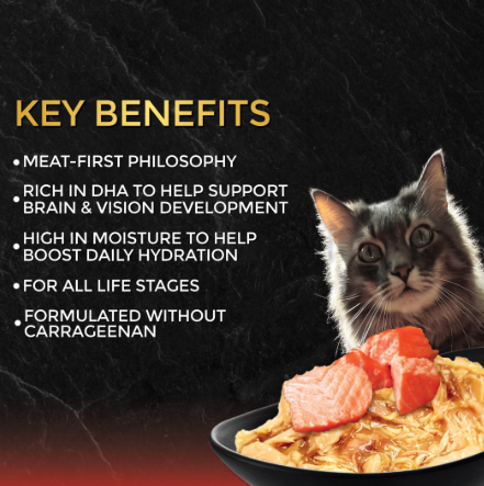 Fussie Cat Premium Tuna with Salmon in Gravy Canned Wet Cat Food 2.82oz