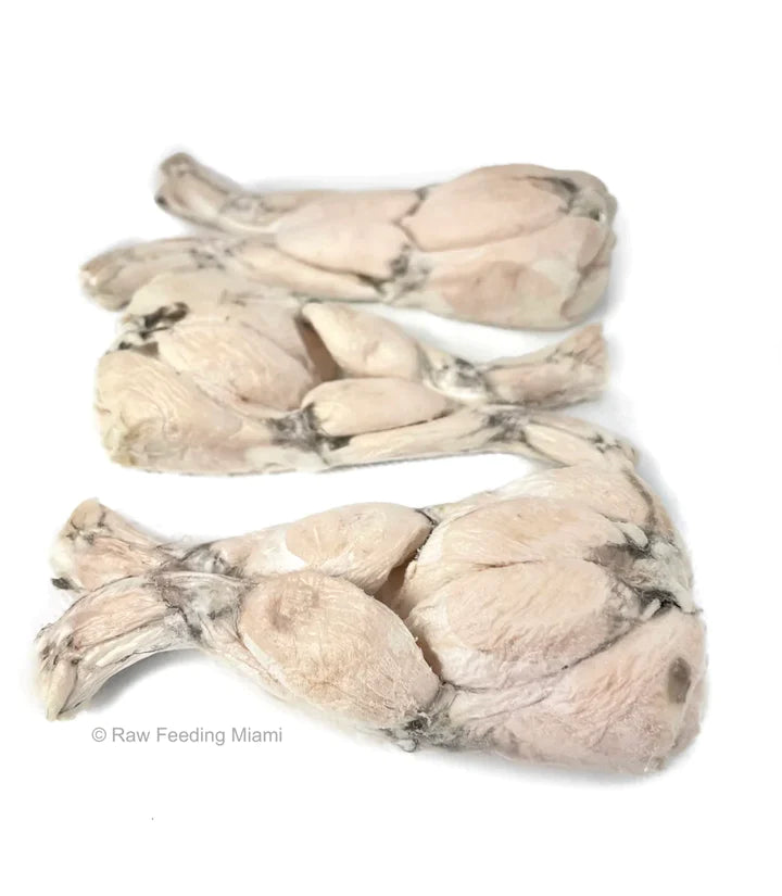 Freeze Dried Frog Legs Treat for Cats and Dogs