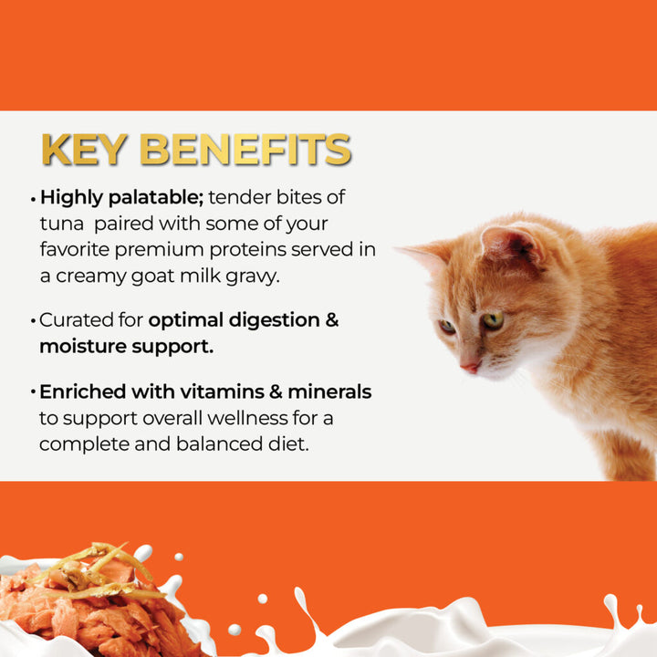 Fussie Cat Tuna Anchovies in Goat Milk Gravy Canned Wet Cat Food 2.47oz - Single Can