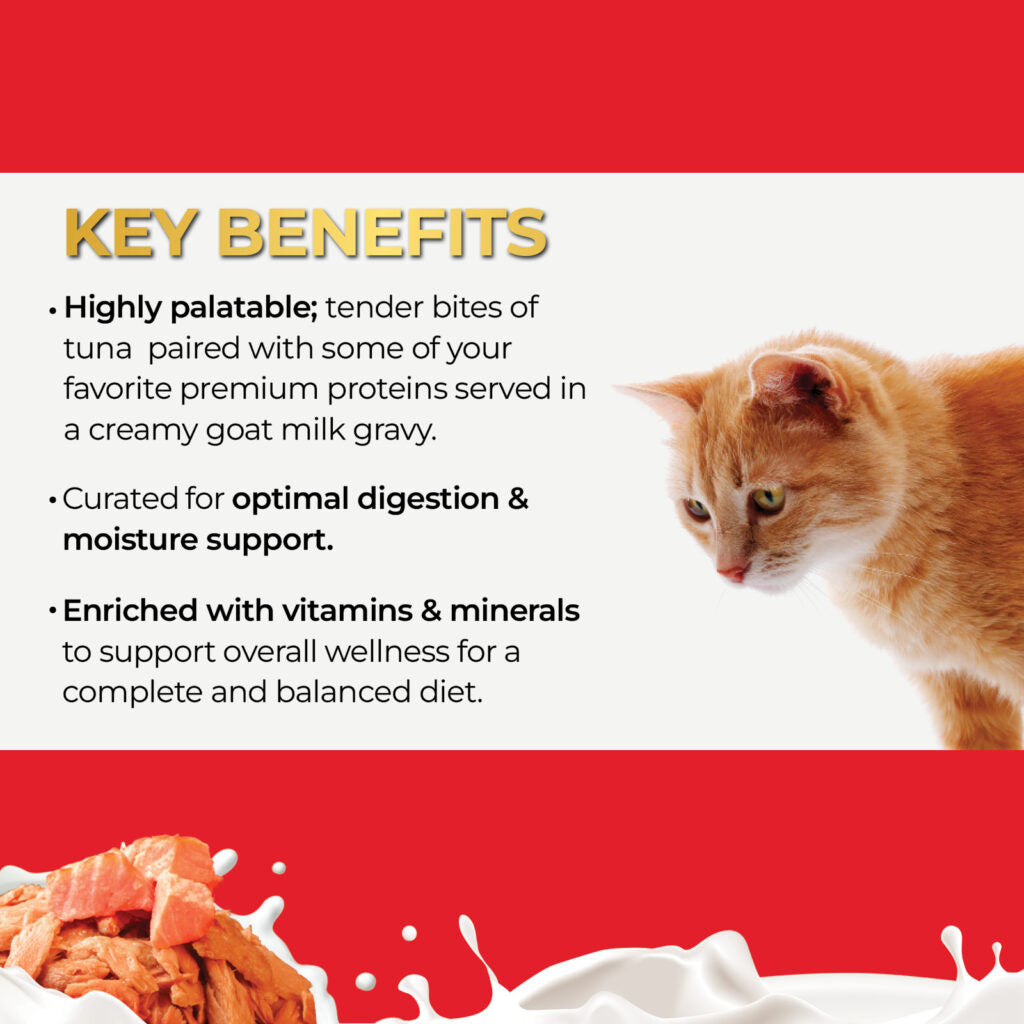 Fussie Cat Tuna Salmon in Goat Milk Gravy Canned Wet Cat Food 2.47oz - Single Can