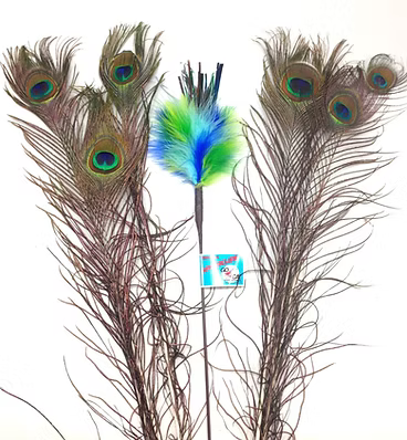 Go Cat Peacock Sparkler Cat Wand Toy 18"