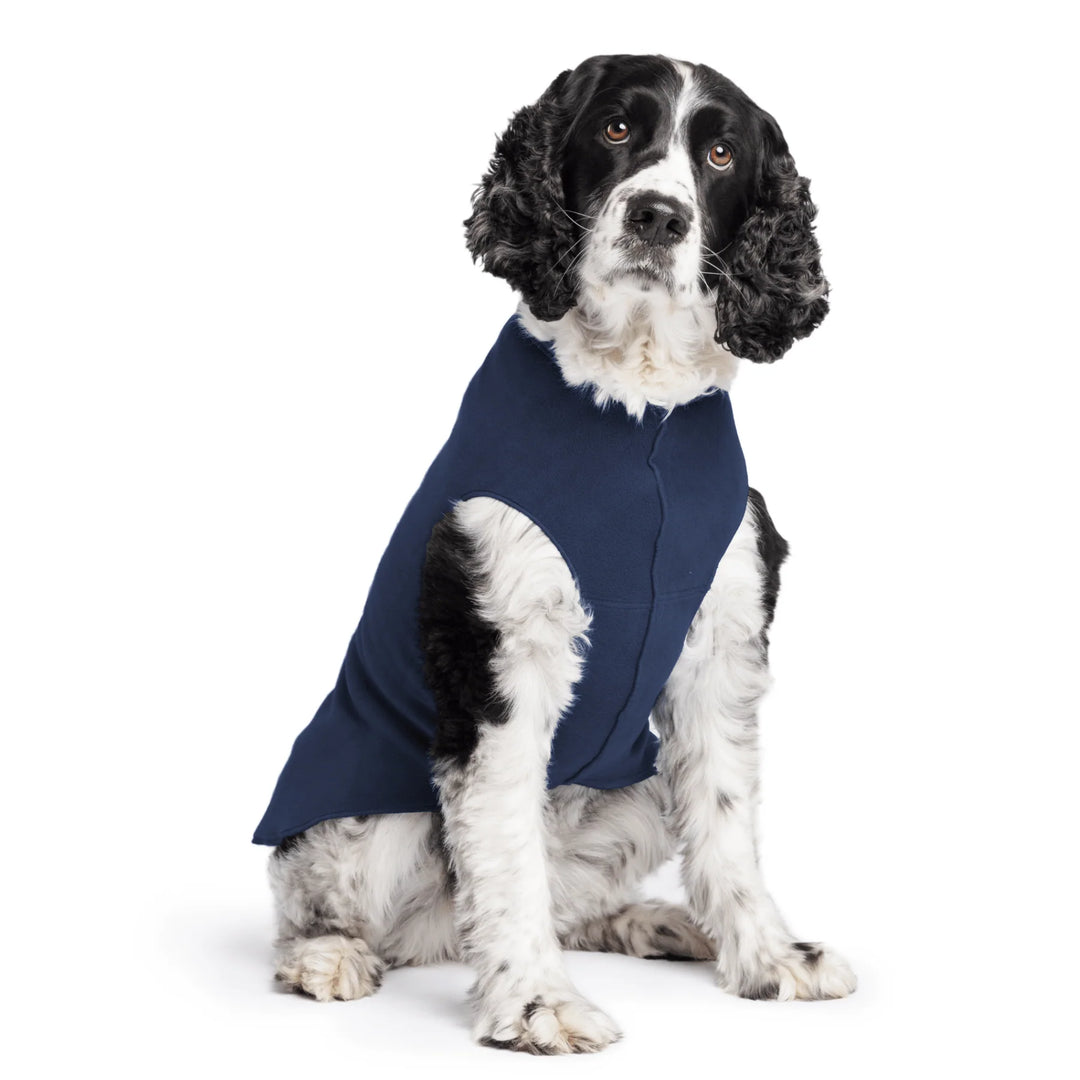 Cocker spaniel Dog wearing a navy blue fleece sweater on a white background