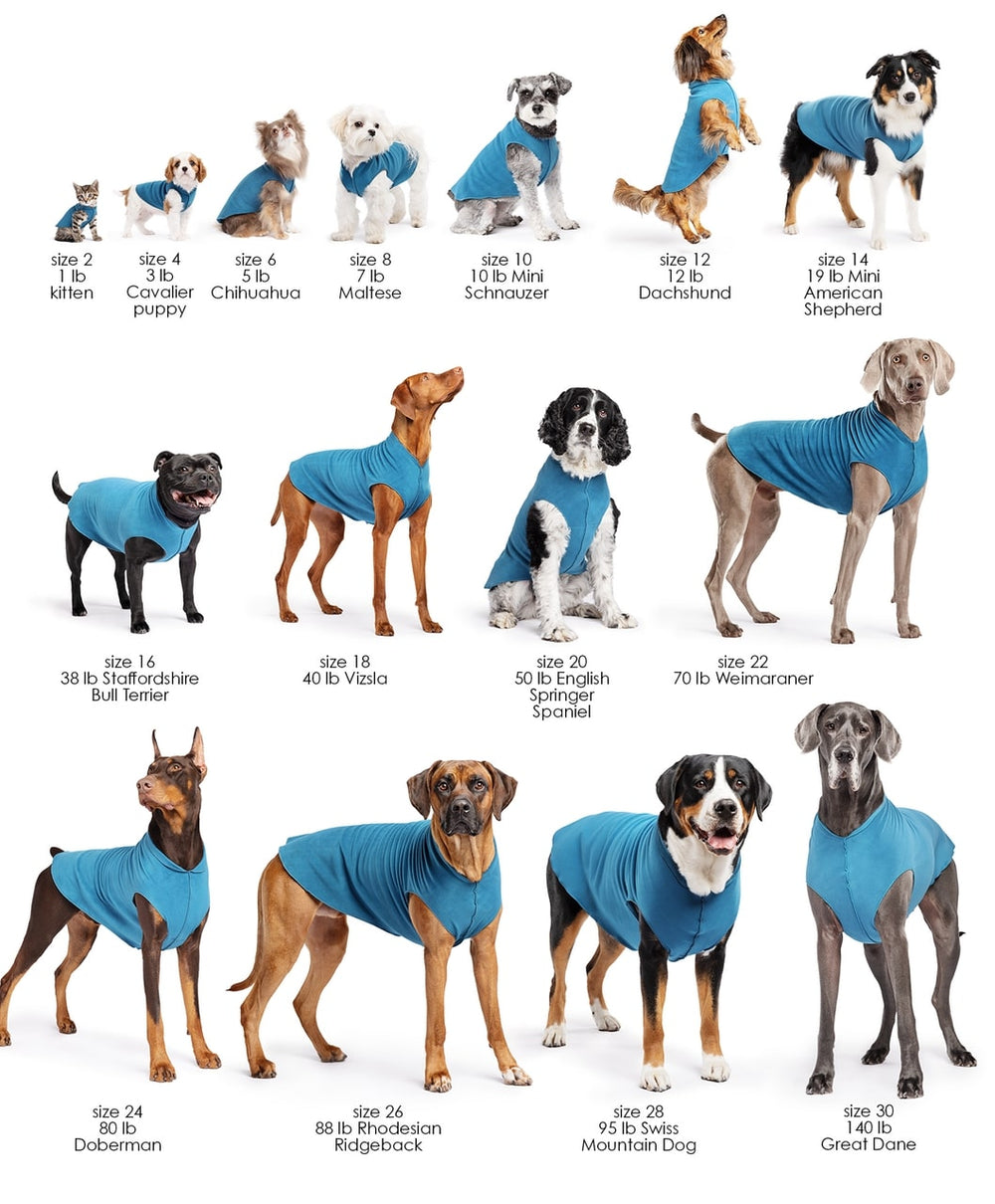 Dogs of various breeds and sizes wearing blue fleece sweaters with size labels below each.