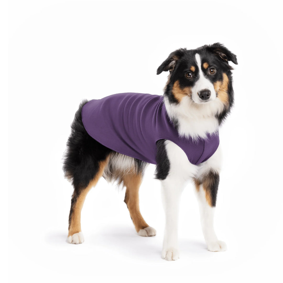 Goldpaw Stretch Fleece Dog & Cat Pullover, Huckleberry Purple