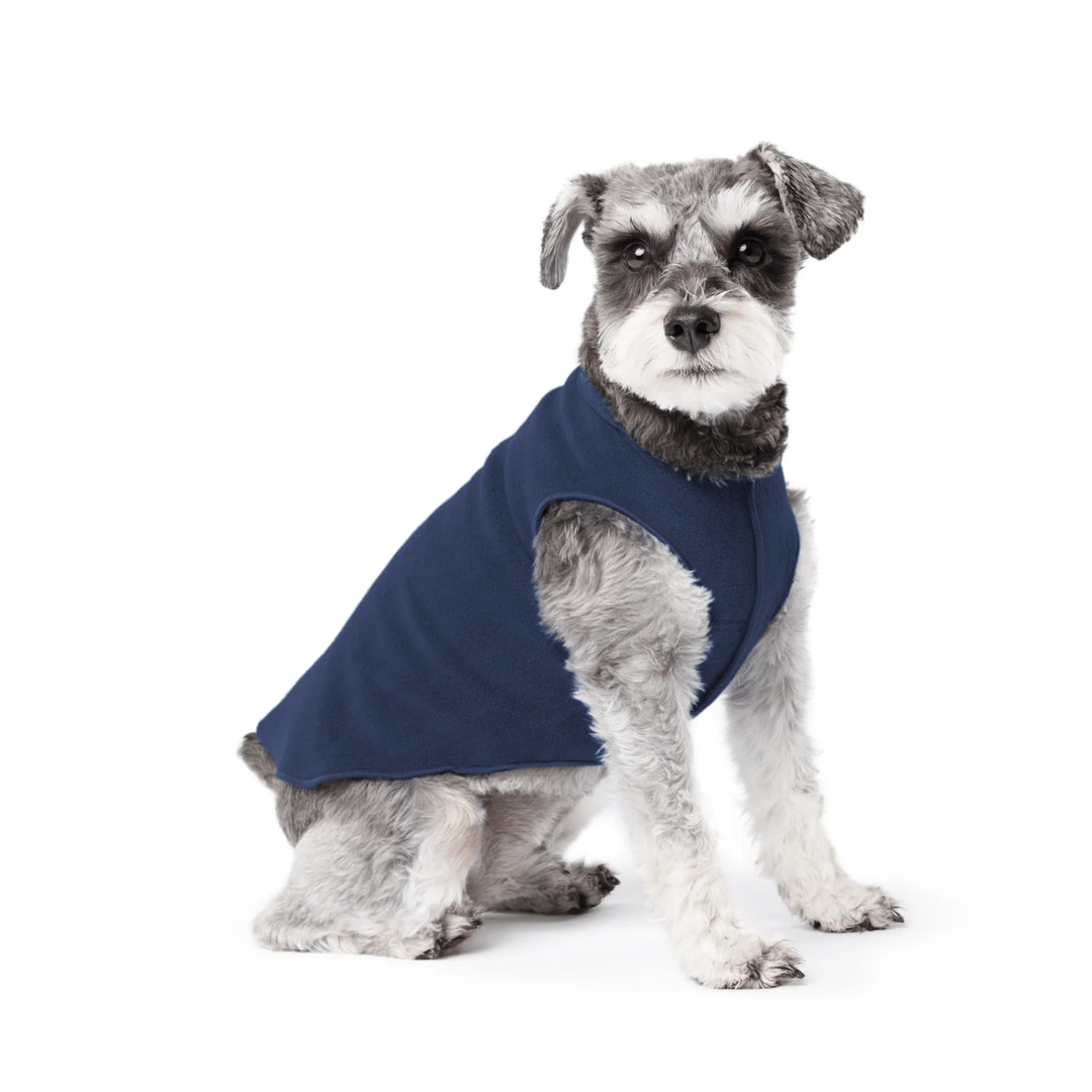 A gray and white Schnauzer dog wearing a navy blue fleece sweater sitting against a solid white background.
