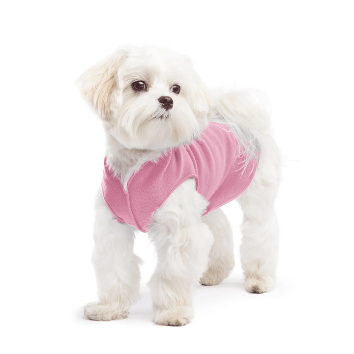 Small white dog wearing a pink fleece sweater on a white background