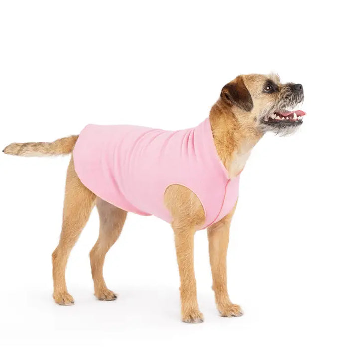 Light brown dog wearing a pink fleece sweater