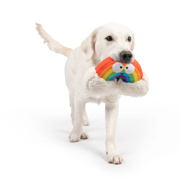 Happy Rainbow Dog Toy Large